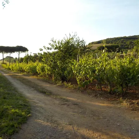 Dalla Campagna Al Mare * La Caduta