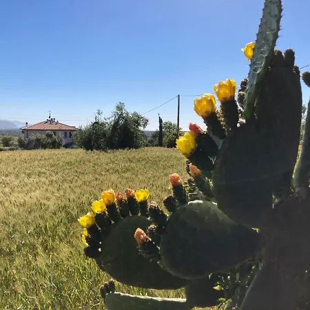 Dalla Campagna Al Mare Apartment